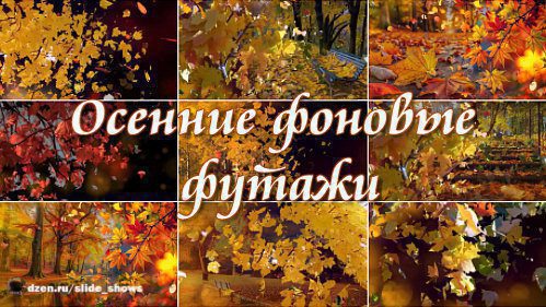Осенние фоновые футажи
