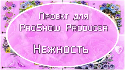 Нежность |  Проект / стили  ProShow Producer